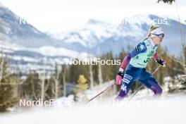 10.02.2024, Canmore, Canada (CAN): Erin Bianco (USA) - FIS world cup cross-country, individual sprint, Canmore (CAN). www.nordicfocus.com. © Modica/NordicFocus. Every downloaded picture is fee-liable.