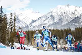 10.02.2024, Canmore, Canada (CAN): Mathilde Myhrvold (NOR), Maja Dahlqvist (SWE), Jasmin Kahara (FIN), Nicole Monsorno (ITA), Kerttu Niskanen (FIN), (l-r)  - FIS world cup cross-country, individual sprint, Canmore (CAN). www.nordicfocus.com. © Modica/NordicFocus. Every downloaded picture is fee-liable.