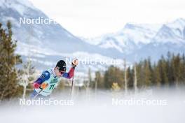 10.02.2024, Canmore, Canada (CAN): Kevin Bolger (USA) - FIS world cup cross-country, individual sprint, Canmore (CAN). www.nordicfocus.com. © Modica/NordicFocus. Every downloaded picture is fee-liable.