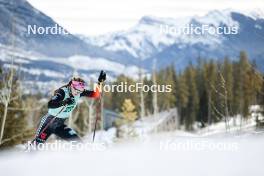10.02.2024, Canmore, Canada (CAN): Laura Gimmler (GER) - FIS world cup cross-country, individual sprint, Canmore (CAN). www.nordicfocus.com. © Modica/NordicFocus. Every downloaded picture is fee-liable.