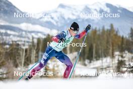 10.02.2024, Canmore, Canada (CAN): Jack Young (USA) - FIS world cup cross-country, individual sprint, Canmore (CAN). www.nordicfocus.com. © Modica/NordicFocus. Every downloaded picture is fee-liable.