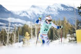 10.02.2024, Canmore, Canada (CAN): Johanna Hagstroem (SWE) - FIS world cup cross-country, individual sprint, Canmore (CAN). www.nordicfocus.com. © Modica/NordicFocus. Every downloaded picture is fee-liable.