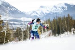 10.02.2024, Canmore, Canada (CAN): Lauren Jortberg (USA) - FIS world cup cross-country, individual sprint, Canmore (CAN). www.nordicfocus.com. © Modica/NordicFocus. Every downloaded picture is fee-liable.