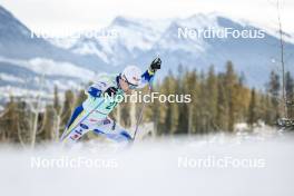 10.02.2024, Canmore, Canada (CAN): Calle Halfvarsson (SWE) - FIS world cup cross-country, individual sprint, Canmore (CAN). www.nordicfocus.com. © Modica/NordicFocus. Every downloaded picture is fee-liable.