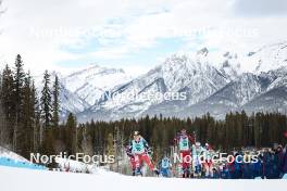 10.02.2024, Canmore, Canada (CAN): Katerina Janatova (CZE), Anne Kyllonen (FIN), Anne Kjersti Kalvaa (NOR), Jonna Sundling (SWE), Alina Meier (SUI), (l-r)  - FIS world cup cross-country, individual sprint, Canmore (CAN). www.nordicfocus.com. © Modica/NordicFocus. Every downloaded picture is fee-liable.
