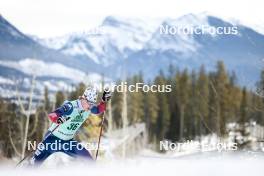 10.02.2024, Canmore, Canada (CAN): Zanden Mcmullen (USA) - FIS world cup cross-country, individual sprint, Canmore (CAN). www.nordicfocus.com. © Modica/NordicFocus. Every downloaded picture is fee-liable.