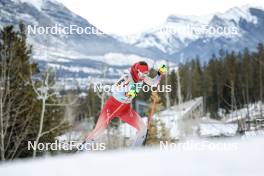 10.02.2024, Canmore, Canada (CAN): Alina Meier (SUI) - FIS world cup cross-country, individual sprint, Canmore (CAN). www.nordicfocus.com. © Modica/NordicFocus. Every downloaded picture is fee-liable.