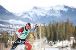 10.02.2024, Canmore, Canada (CAN): Leo Grandbois (CAN) - FIS world cup cross-country, individual sprint, Canmore (CAN). www.nordicfocus.com. © Modica/NordicFocus. Every downloaded picture is fee-liable.