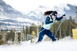 10.02.2024, Canmore, Canada (CAN): Nicole Monsorno (ITA) - FIS world cup cross-country, individual sprint, Canmore (CAN). www.nordicfocus.com. © Modica/NordicFocus. Every downloaded picture is fee-liable.