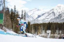 10.02.2024, Canmore, Canada (CAN): Moa Ilar (SWE) - FIS world cup cross-country, individual sprint, Canmore (CAN). www.nordicfocus.com. © Modica/NordicFocus. Every downloaded picture is fee-liable.