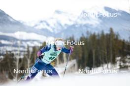 10.02.2024, Canmore, Canada (CAN): Michaela Keller-Miller (USA) - FIS world cup cross-country, individual sprint, Canmore (CAN). www.nordicfocus.com. © Modica/NordicFocus. Every downloaded picture is fee-liable.