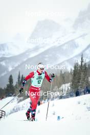 13.02.2024, Canmore, Canada (CAN): Mathilde Myhrvold (NOR) - FIS world cup cross-country, individual sprint, Canmore (CAN). www.nordicfocus.com. © Modica/NordicFocus. Every downloaded picture is fee-liable.