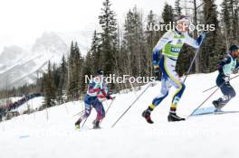 13.02.2024, Canmore, Canada (CAN): James Clinton Schoonmaker (USA), Luke Jager (USA), Edvin Anger (SWE), (l-r)  - FIS world cup cross-country, individual sprint, Canmore (CAN). www.nordicfocus.com. © Modica/NordicFocus. Every downloaded picture is fee-liable.