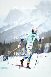 13.02.2024, Canmore, Canada (CAN): Emma Ribom (SWE) - FIS world cup cross-country, individual sprint, Canmore (CAN). www.nordicfocus.com. © Modica/NordicFocus. Every downloaded picture is fee-liable.