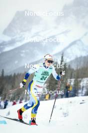 13.02.2024, Canmore, Canada (CAN): Johanna Hagstroem (SWE) - FIS world cup cross-country, individual sprint, Canmore (CAN). www.nordicfocus.com. © Modica/NordicFocus. Every downloaded picture is fee-liable.