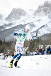 13.02.2024, Canmore, Canada (CAN): William Poromaa (SWE) - FIS world cup cross-country, individual sprint, Canmore (CAN). www.nordicfocus.com. © Modica/NordicFocus. Every downloaded picture is fee-liable.