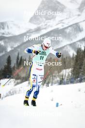 13.02.2024, Canmore, Canada (CAN): Gustaf Berglund (SWE) - FIS world cup cross-country, individual sprint, Canmore (CAN). www.nordicfocus.com. © Modica/NordicFocus. Every downloaded picture is fee-liable.