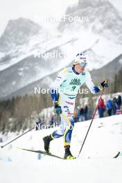 13.02.2024, Canmore, Canada (CAN): Johan Haeggstroem (SWE) - FIS world cup cross-country, individual sprint, Canmore (CAN). www.nordicfocus.com. © Modica/NordicFocus. Every downloaded picture is fee-liable.