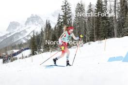 13.02.2024, Canmore, Canada (CAN): Alina Meier (SUI) - FIS world cup cross-country, individual sprint, Canmore (CAN). www.nordicfocus.com. © Modica/NordicFocus. Every downloaded picture is fee-liable.