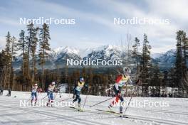 11.02.2024, Canmore, Canada (CAN): Alexandra Lawson (USA), Margie Freed (USA), Francesca Franchi (ITA), Anna Stewart (CAN), (l-r)  - FIS world cup cross-country, mass, Canmore (CAN). www.nordicfocus.com. © Modica/NordicFocus. Every downloaded picture is fee-liable.