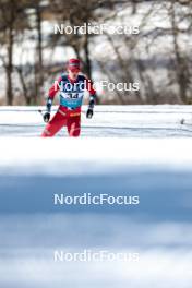 18.02.2024, Minneapolis, United States of America (USA): Mattis Stenshagen (NOR) - FIS world cup cross-country, 10km, Minneapolis (USA). www.nordicfocus.com. © Modica/NordicFocus. Every downloaded picture is fee-liable.