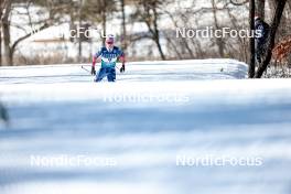 18.02.2024, Minneapolis, United States of America (USA): Walker Hall (USA) - FIS world cup cross-country, 10km, Minneapolis (USA). www.nordicfocus.com. © Modica/NordicFocus. Every downloaded picture is fee-liable.