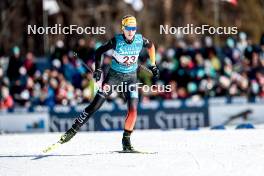 18.02.2024, Minneapolis, United States of America (USA): Lisa Lohmann (GER) - FIS world cup cross-country, 10km, Minneapolis (USA). www.nordicfocus.com. © Modica/NordicFocus. Every downloaded picture is fee-liable.