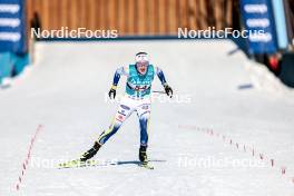 18.02.2024, Minneapolis, United States of America (USA): Ebba Andersson (SWE) - FIS world cup cross-country, 10km, Minneapolis (USA). www.nordicfocus.com. © Modica/NordicFocus. Every downloaded picture is fee-liable.