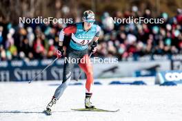 18.02.2024, Minneapolis, United States of America (USA): Anna Stewart (CAN) - FIS world cup cross-country, 10km, Minneapolis (USA). www.nordicfocus.com. © Modica/NordicFocus. Every downloaded picture is fee-liable.