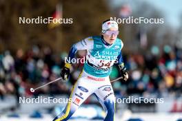 18.02.2024, Minneapolis, United States of America (USA): Ebba Andersson (SWE) - FIS world cup cross-country, 10km, Minneapolis (USA). www.nordicfocus.com. © Modica/NordicFocus. Every downloaded picture is fee-liable.