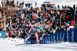 17.02.2024, Minneapolis, United States of America (USA): Alexandra Luxmoore (CAN) - FIS world cup cross-country, individual sprint, Minneapolis (USA). www.nordicfocus.com. © Modica/NordicFocus. Every downloaded picture is fee-liable.