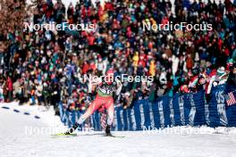 17.02.2024, Minneapolis, United States of America (USA): Janik Riebli (SUI) - FIS world cup cross-country, individual sprint, Minneapolis (USA). www.nordicfocus.com. © Modica/NordicFocus. Every downloaded picture is fee-liable.