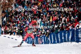 17.02.2024, Minneapolis, United States of America (USA): Haavard Solaas Taugboel (NOR) - FIS world cup cross-country, individual sprint, Minneapolis (USA). www.nordicfocus.com. © Modica/NordicFocus. Every downloaded picture is fee-liable.