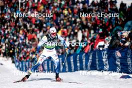 17.02.2024, Minneapolis, United States of America (USA): Marcus Grate (SWE) - FIS world cup cross-country, individual sprint, Minneapolis (USA). www.nordicfocus.com. © Modica/NordicFocus. Every downloaded picture is fee-liable.