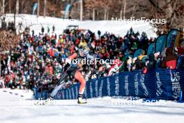 17.02.2024, Minneapolis, United States of America (USA): Anna Stewart (CAN) - FIS world cup cross-country, individual sprint, Minneapolis (USA). www.nordicfocus.com. © Modica/NordicFocus. Every downloaded picture is fee-liable.