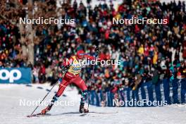 17.02.2024, Minneapolis, United States of America (USA): Harald Oestberg Amundsen (NOR) - FIS world cup cross-country, individual sprint, Minneapolis (USA). www.nordicfocus.com. © Modica/NordicFocus. Every downloaded picture is fee-liable.