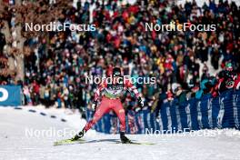 17.02.2024, Minneapolis, United States of America (USA): Benjamin Moser (AUT) - FIS world cup cross-country, individual sprint, Minneapolis (USA). www.nordicfocus.com. © Modica/NordicFocus. Every downloaded picture is fee-liable.
