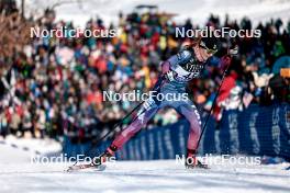 17.02.2024, Minneapolis, United States of America (USA): Margie Freed (USA) - FIS world cup cross-country, individual sprint, Minneapolis (USA). www.nordicfocus.com. © Modica/NordicFocus. Every downloaded picture is fee-liable.