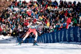 17.02.2024, Minneapolis, United States of America (USA): Alina Meier (SUI) - FIS world cup cross-country, individual sprint, Minneapolis (USA). www.nordicfocus.com. © Modica/NordicFocus. Every downloaded picture is fee-liable.