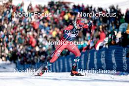 17.02.2024, Minneapolis, United States of America (USA): Anne Kjersti Kalvaa (NOR) - FIS world cup cross-country, individual sprint, Minneapolis (USA). www.nordicfocus.com. © Modica/NordicFocus. Every downloaded picture is fee-liable.