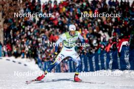 17.02.2024, Minneapolis, United States of America (USA): Edvin Anger (SWE) - FIS world cup cross-country, individual sprint, Minneapolis (USA). www.nordicfocus.com. © Modica/NordicFocus. Every downloaded picture is fee-liable.