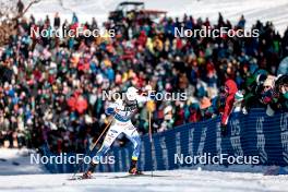 17.02.2024, Minneapolis, United States of America (USA): Emma Ribom (SWE) - FIS world cup cross-country, individual sprint, Minneapolis (USA). www.nordicfocus.com. © Modica/NordicFocus. Every downloaded picture is fee-liable.