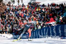 17.02.2024, Minneapolis, United States of America (USA): Tory Audet (CAN) - FIS world cup cross-country, individual sprint, Minneapolis (USA). www.nordicfocus.com. © Modica/NordicFocus. Every downloaded picture is fee-liable.
