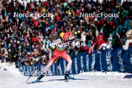 17.02.2024, Minneapolis, United States of America (USA): Roman Schaad (SUI) - FIS world cup cross-country, individual sprint, Minneapolis (USA). www.nordicfocus.com. © Modica/NordicFocus. Every downloaded picture is fee-liable.
