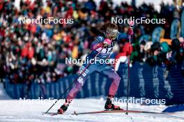 17.02.2024, Minneapolis, United States of America (USA): Rosie Brennan (USA) - FIS world cup cross-country, individual sprint, Minneapolis (USA). www.nordicfocus.com. © Modica/NordicFocus. Every downloaded picture is fee-liable.