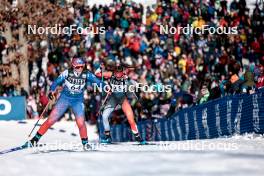 17.02.2024, Minneapolis, United States of America (USA): Alison Mackie (CAN) - FIS world cup cross-country, individual sprint, Minneapolis (USA). www.nordicfocus.com. © Modica/NordicFocus. Every downloaded picture is fee-liable.