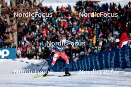 17.02.2024, Minneapolis, United States of America (USA): Tereza Beranova (CZE) - FIS world cup cross-country, individual sprint, Minneapolis (USA). www.nordicfocus.com. © Modica/NordicFocus. Every downloaded picture is fee-liable.