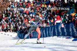 17.02.2024, Minneapolis, United States of America (USA): Marlie Molinaro (CAN) - FIS world cup cross-country, individual sprint, Minneapolis (USA). www.nordicfocus.com. © Modica/NordicFocus. Every downloaded picture is fee-liable.