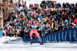 17.02.2024, Minneapolis, United States of America (USA): Mathilde Myhrvold (NOR) - FIS world cup cross-country, individual sprint, Minneapolis (USA). www.nordicfocus.com. © Modica/NordicFocus. Every downloaded picture is fee-liable.
