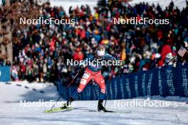 17.02.2024, Minneapolis, United States of America (USA): Tereza Beranova (CZE) - FIS world cup cross-country, individual sprint, Minneapolis (USA). www.nordicfocus.com. © Modica/NordicFocus. Every downloaded picture is fee-liable.